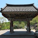 망운사