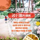 24년 6월 20일 (목)공주유구수국정원,계족산황톳길 갑니다 이미지