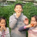 새늘농원 이미지