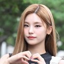 미모고양이 이미지