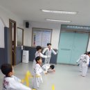 용인대용전태권도 이미지