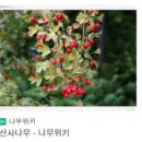 形(형)?積(적)- 네이버블로그