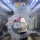 한 대학생의 기말고사 셀프 과제 [SNS 끊기]
