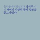 나를품개 이미지