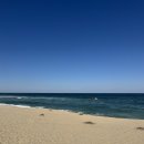 가톨릭대학교 성빈센트병원 | 전 이야기 2탄, 수술 병원 찾기(가톨릭대학교 성빈센트병원 박동춘 교수, 아주대학교 김지연 교수,CT검사)