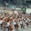 마포스즈키음악학원 이미지