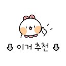 용인대 부흥 유도 체육관 이미지