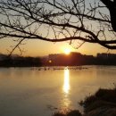 고운선율피아노 이미지