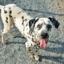 견우농장 이미지