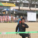 하성초교 이미지