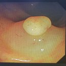 삼성보스톤내과의원 이미지