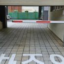 사하사랑채노인복지관 네이버블로그