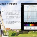 내 마음에 든 안경 이미지