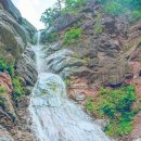 한국목장 이미지