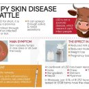 소격리농장 이미지