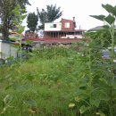 성자 농장 이미지