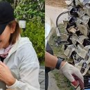 이미숙 남몰래 유기견 보호소기부 이미지