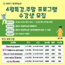 나만의 개성있는 봄선물 포장 이미지