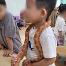 삽량초등학교 병설유치원 이미지