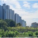 봉화대광공인중개사사무소 | 옥정역대광로제비앙 고산수자인 메리트부동산, 새로운 시작을 함께합니다
