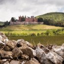 세계 와인 인문학 이미지