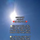 금전엔지니어링