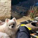 만찐두빵 이미지