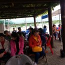 론볼경기장 이미지