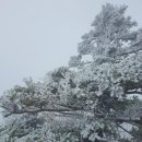탐방 2박 3일 여행기 - 오르다게스트하우스, 백록담(관음사), 오션스위츠호텔, 동문시장, 아베베...