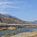 밭 이미지