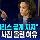 테일러 스위프트 "해리스 공개 지지" 고양이 안은 사진 올린 이유 / SBS 이미지