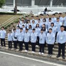 올림픽오스카태권도 이미지