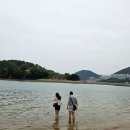 여수 해수욕장 개장 ! 웅천친수공원 개장 정보 총 정리
