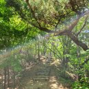 그린메디약국 이미지