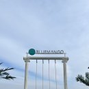 블루망고 이미지