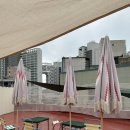 마이애미오렌지 이미지