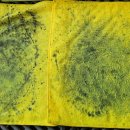 용문세차장 이미지