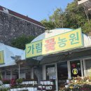 7077 | [대전 동구 꽃집추천] 어버이날, 스승의날 꽃선물 카네이션 파는 곳 '가람꽃농원' 직접 방문 후기