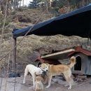 장군농장 이미지