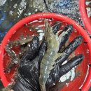 대일수산 이미지