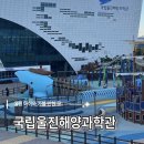 아이와 가기 좋은, 울진국립해양과학관과 바닷속전망대 방문후기