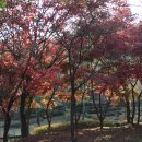 방아공원 이미지