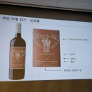1초에 2병 판매되는 프랑스 국민 와인! 🍇 &lt;로쉐 마제 대학생 서포터즈 5기&gt; 발대식 후기🍷