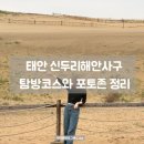 해당화 | [태안] 신두리해안사구 탐방코스와 포토존, 주차정보 등 정리