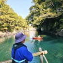 더비경 | 제주도 여행 에메랄드빛 비경 쇠소깍 테우 탑승 솔직 후기