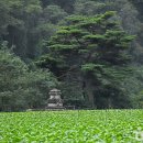 평창 수항리사지 이미지