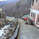금류수퍼 티스토리