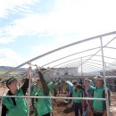 묘하우스 이미지