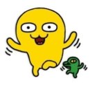 새들노래방