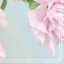 리빙골드레지던스 이미지